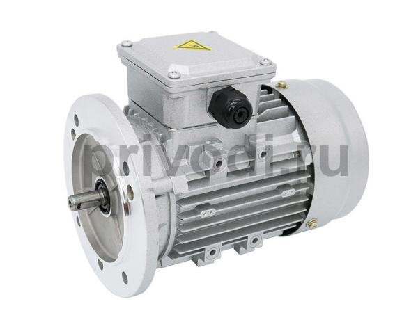 Мотор BH 100LB 4/8 230/400-40 IP54 FD B5