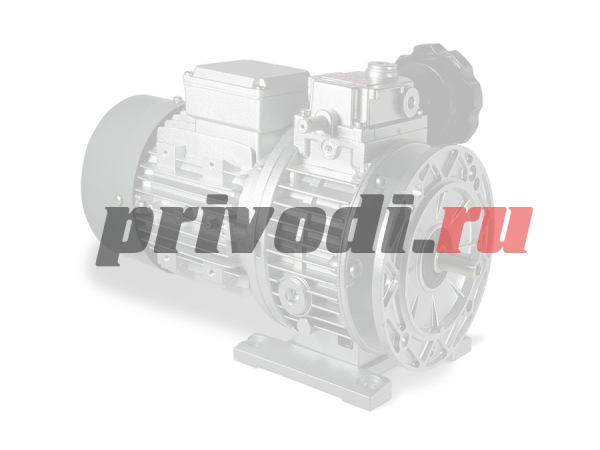 Вариатор CHV 20 D.24 B5 Chiaravalli